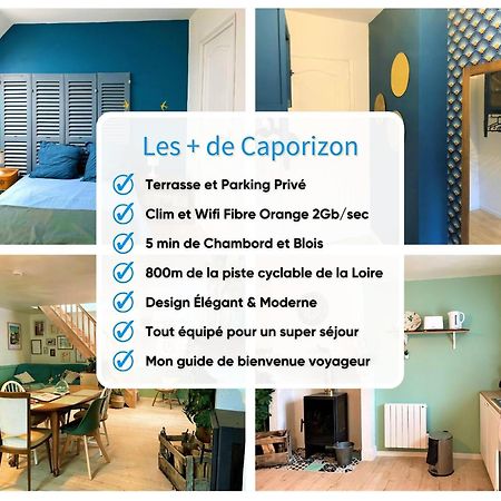 Caporizon-Le Coffre Fort-Le Clos De Chambord Βίλα Saint-Claude-de-Diray Εξωτερικό φωτογραφία